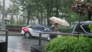 Песня плд гитару "Всё из-за дождя" (Воробьи)Исполняет автор Сергей Яременко