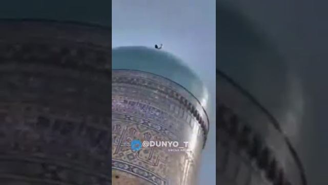 Птица кричит Аллах смотреть онлайн