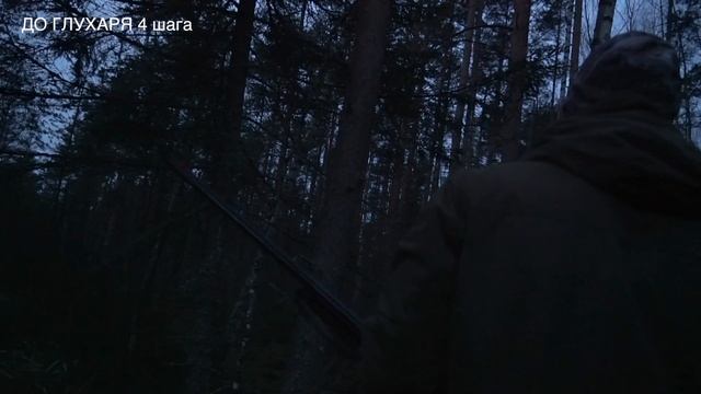 ПУТЬ В ОХОТУ. Весна. Глухарь. смотреть онлайн