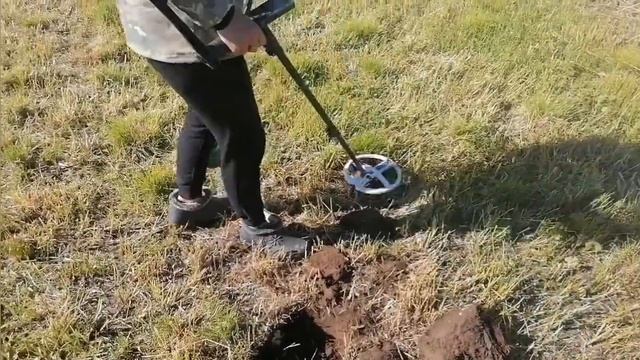 Давно чешуйки не было в находках. Копаю с ORX XP. смотреть онлайн