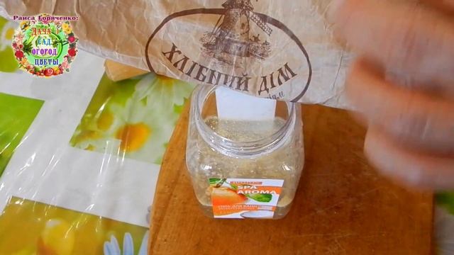 Когда и чем полить томаты после пикировки? Зачем надо соблюдать трехдневный перерыв без полива? смотреть онлайн