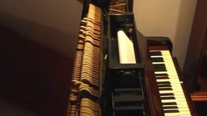 "Spaghetti Rag" 1920s Steck Pianola Player Piano QRS Word Roll 8641