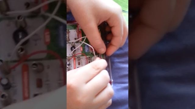 Научны эксперимент реский звук дверного звонка