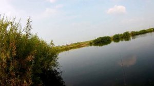 Ловля щуки с берега! Когда и на что ловить? Ошибки при вываживании!