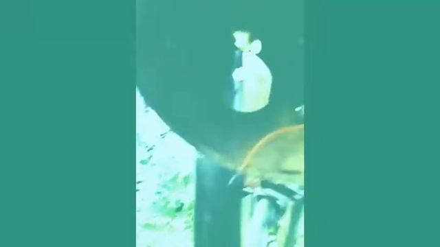 Кастом восход#1 начало смотреть онлайн