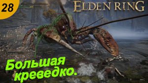 Большая креветка и старый знакомый Лоскутик.#28 ELDEN RING. Прохождение.