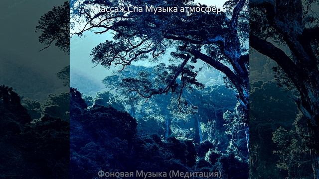 Впечатление (Массажная терапия) смотреть онлайн