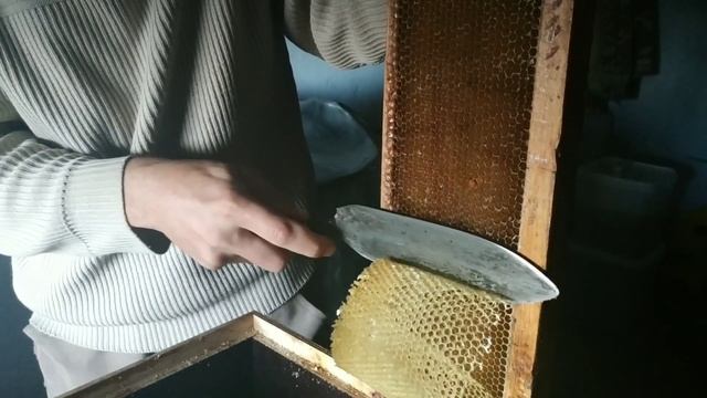 Добываю воск сверх плана! Сколько воска можно взять почистив рамки...