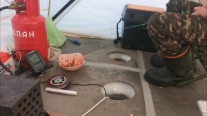 Рыбалка на рипуса, озеро Тургояк, природа