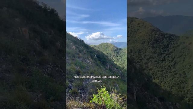 Я ценю отношения, но веду себя так, чтобы меня бросили. смотреть онлайн