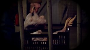 следствие вели 11.02.2018 на sledstvie-veli.net