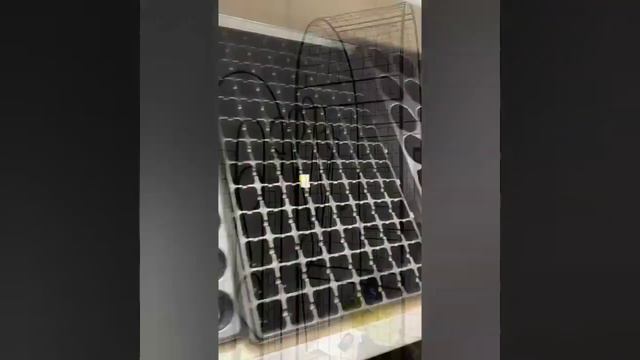 Магазин Огород Круглый Год – все для сада и огорода. смотреть онлайн