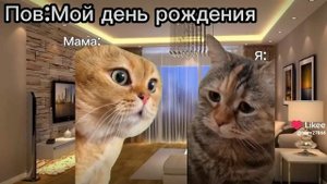 Пов:Мой день рождения ?