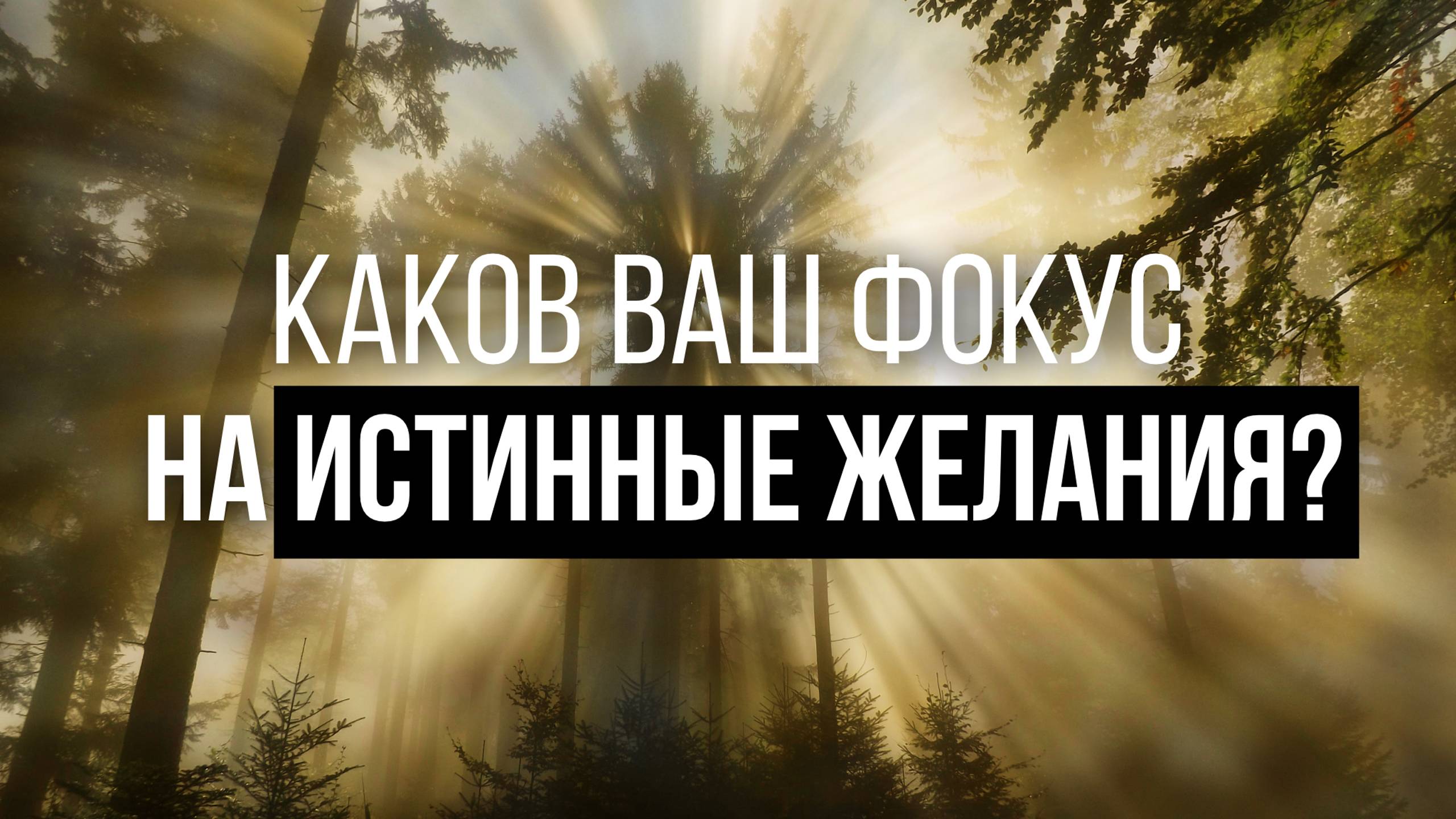 КАКОЙ ВАШ ФОКУС НА ИСТИННЫЕ ЖЕЛАНИЯ👇🏻 смотреть онлайн