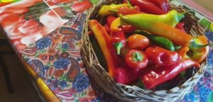 Перец маринованный с маслом