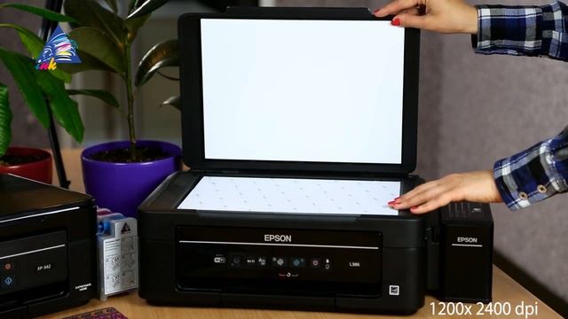 МФУ для дома: Epson L386 или Epson XP-342. Что выбрать? смотреть онлайн