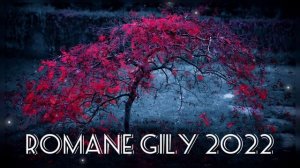 Коля Сталюкэнгиро - Арабско гилы 2022