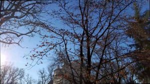 "Парк в клетке" (скоро из-за зимы) Паэт.-