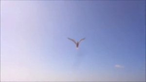 Там, где начинается Беломорканал. Карелия Ч 2.