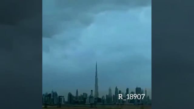 Шейх Мухаммад Гига смотреть онлайн