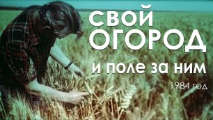 фильм "Свой огород и поле за ним", колхоз Казьминский - 1984 год
