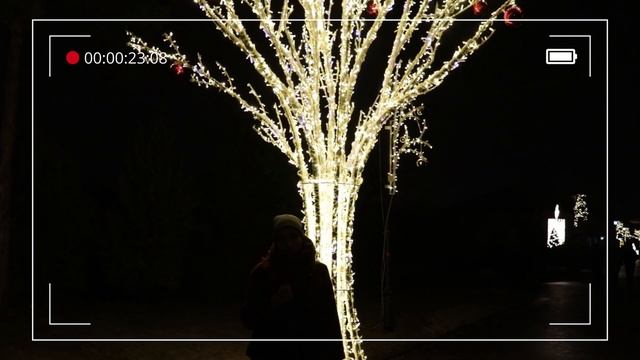 ВЛОГ день на новогодних каникулах: прогулка и ёлки, распаковка карт Хенджина и Феликса, еда смотреть онлайн