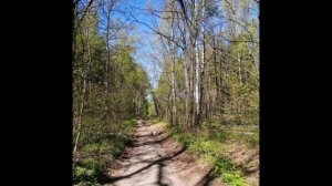 Отдых с палатками в лесу Рассказово Тамбовская обл 2024г