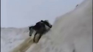 Tusheti Sheep Herding - Horses slide down mountain