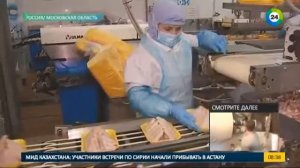 Для чего куриц кормят антибиотиками. Эфир от 14.02.17