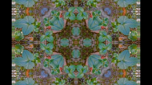 Венера. Красота, любовь, чувственность, гармония. Усиление и гармонизация Венеры в Вашем гороскопе.