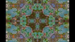 Венера. Красота, любовь, чувственность, гармония. Усиление и гармонизация Венеры в Вашем гороскопе.