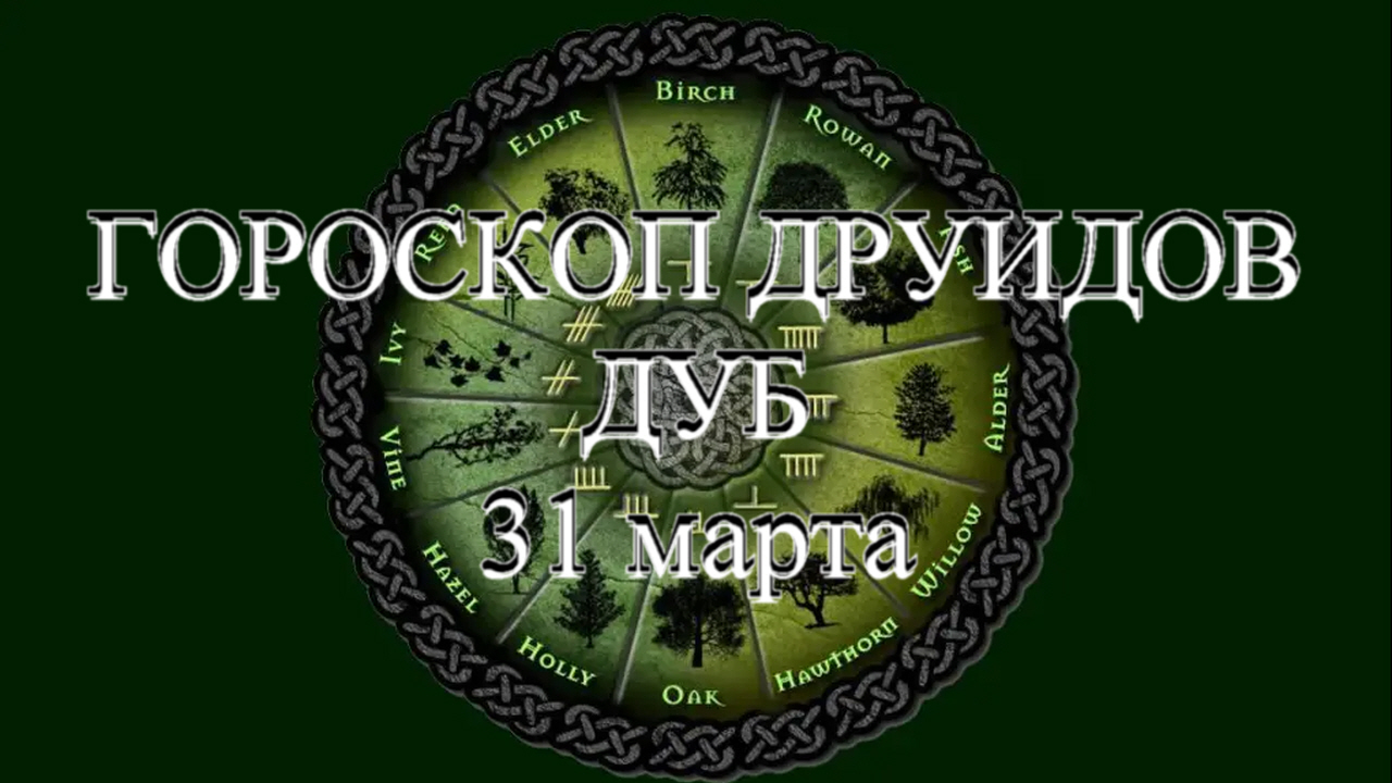 Гороскоп друидов на 2024. Гороскоп друидов. Книга гороскоп друидов. Гороскоп друидов яблоня. Календарь друидов.
