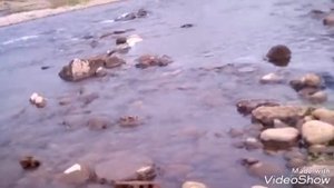 Рыбалка на Ушаковке.