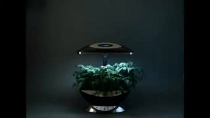 Автоматический проращиватель Aerogarden 7