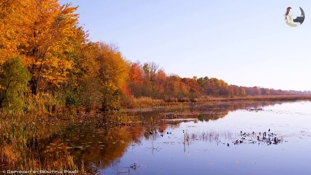 The Most Beautiful Classic Piano Music - Peaceful Piano Music With Ocean Sounds For Relax, Sleeping смотреть онлайн