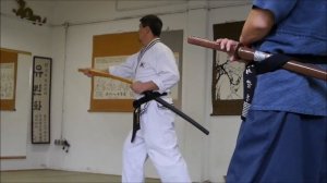 Hapkido training in Kassel Dojang