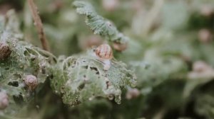 Новинка!!! Комбикорм УКК-1, от ОАО "Оренбургский Комбикормовый Завод"