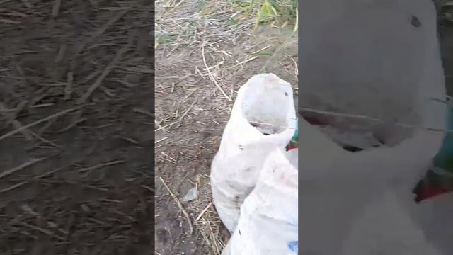 Рыбалка Шығанақ смотреть онлайн