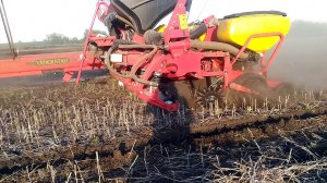 Vaderstad Tempo F8  прямой посев подсолнечника