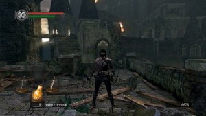 Гайд по парированию в Dark Souls PTDE
