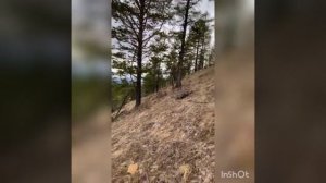 Природа Икатского хребта 2