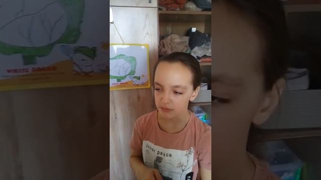 Как нарисовать капусту! смотреть онлайн