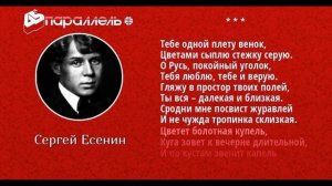 Тебе одной плету венок  Сергей Есенин   читает Павел Беседин