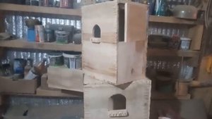 Гнезда для попугаев