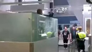 Русские поют на Финской границе)))