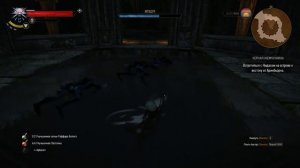 The Witcher 3: Wild Hunt - Где найти сет Брони Школы Кота!