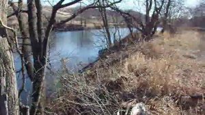 Платный пруд в Багаевке