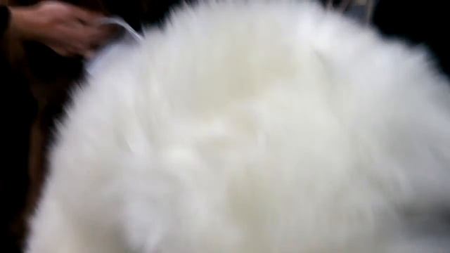 Овчина, длинный ворс, белый цвет смотреть онлайн