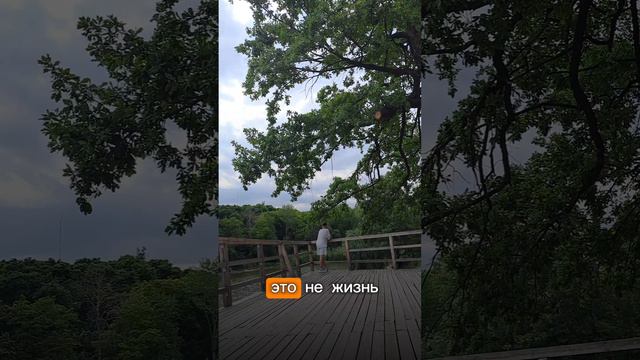 #мотивация#путькуспеху#дальшебольше#вдохновение#верьвсебя