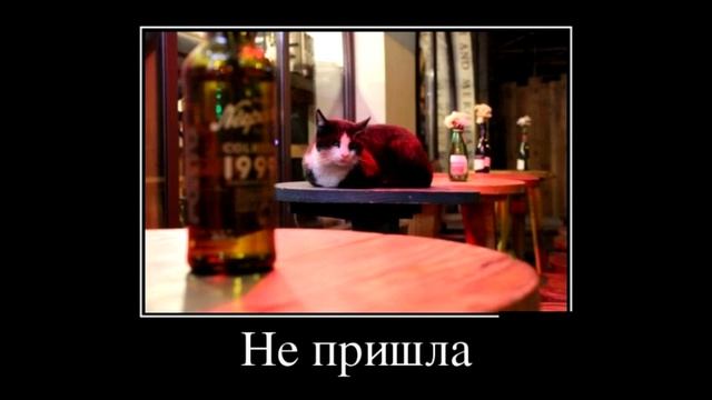 картинки демотиваторы, демотиваторы работа, лучшие демотиваторы, демотиваторы смешные новые